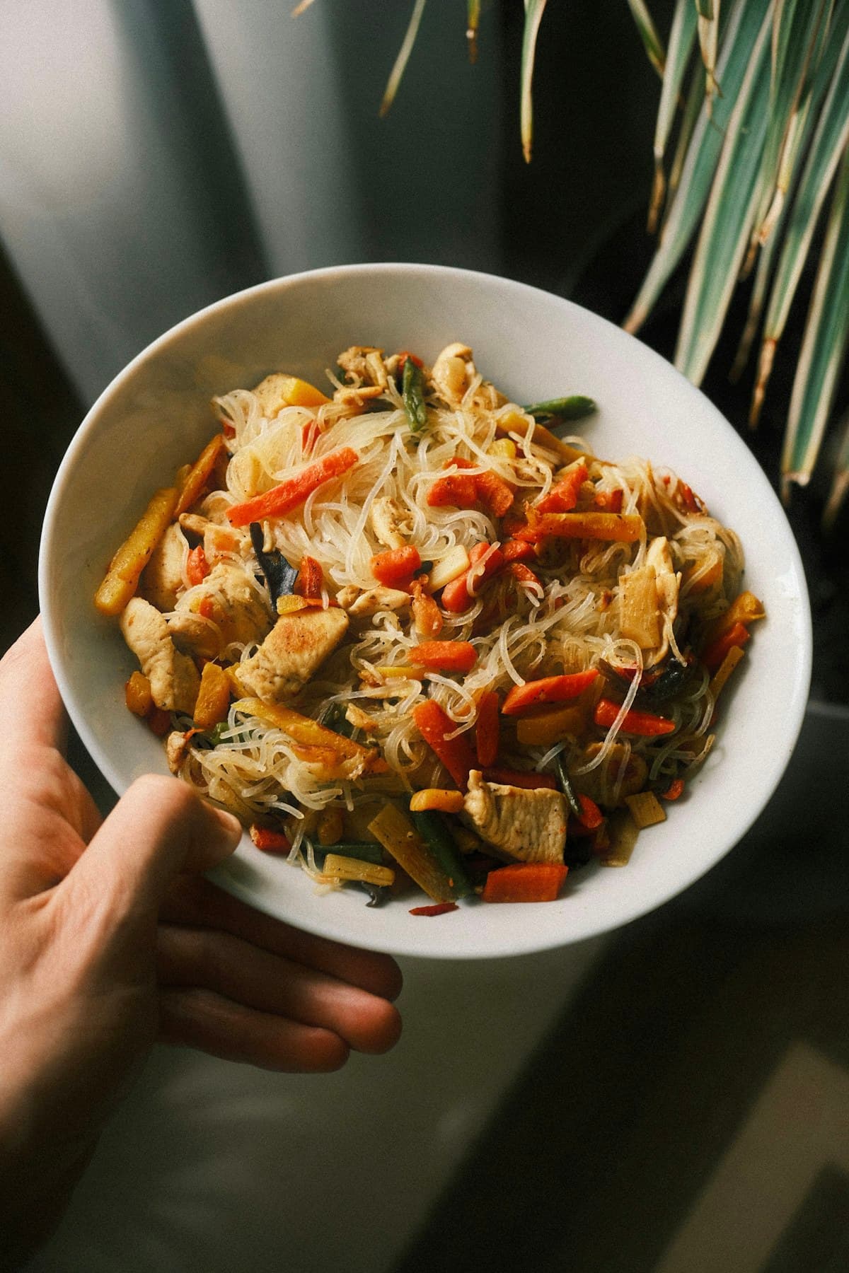 A bowl of chicken stir-fry noodles with vegetables