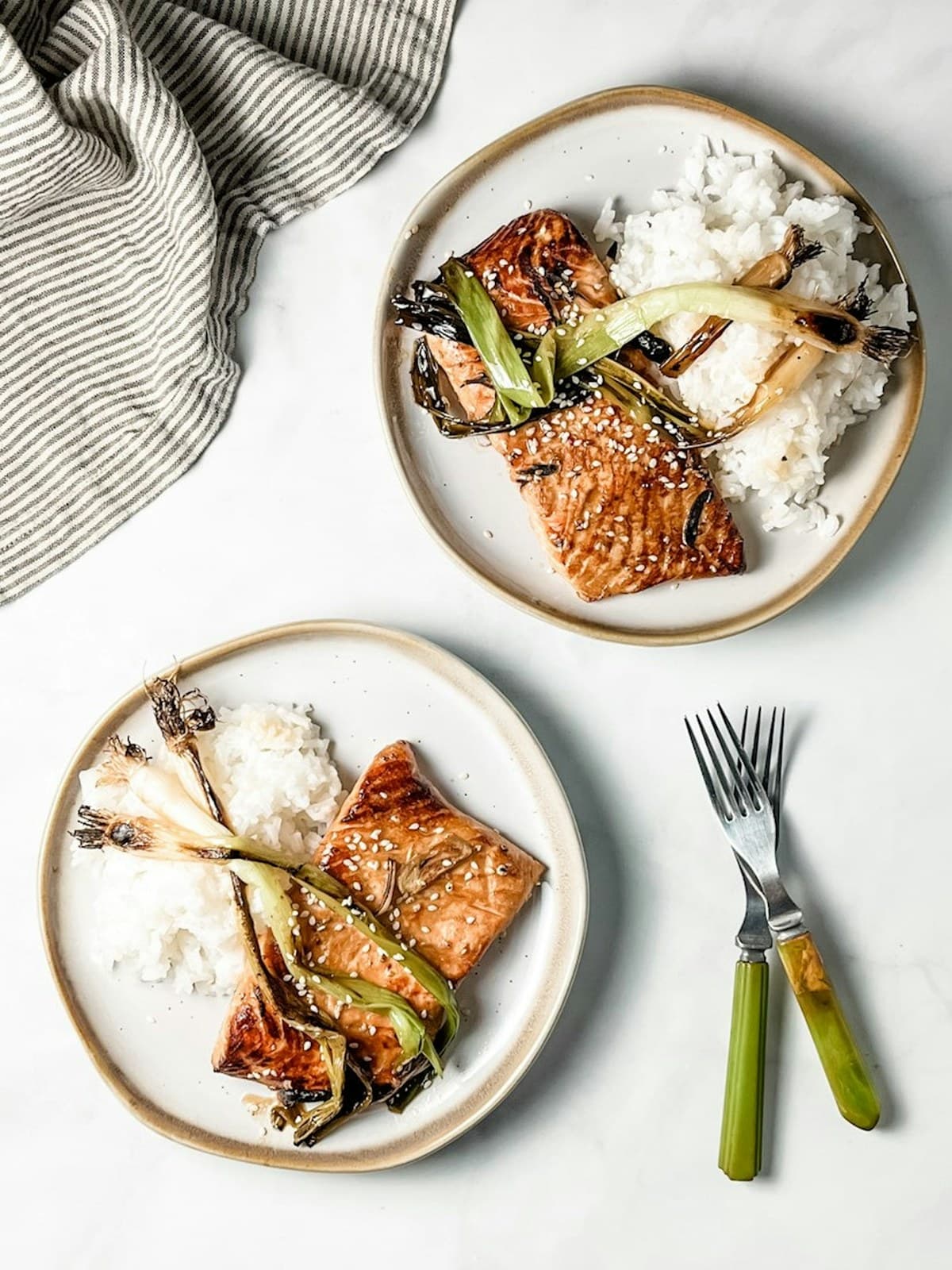 Two plates of salmon with rice and spring onions